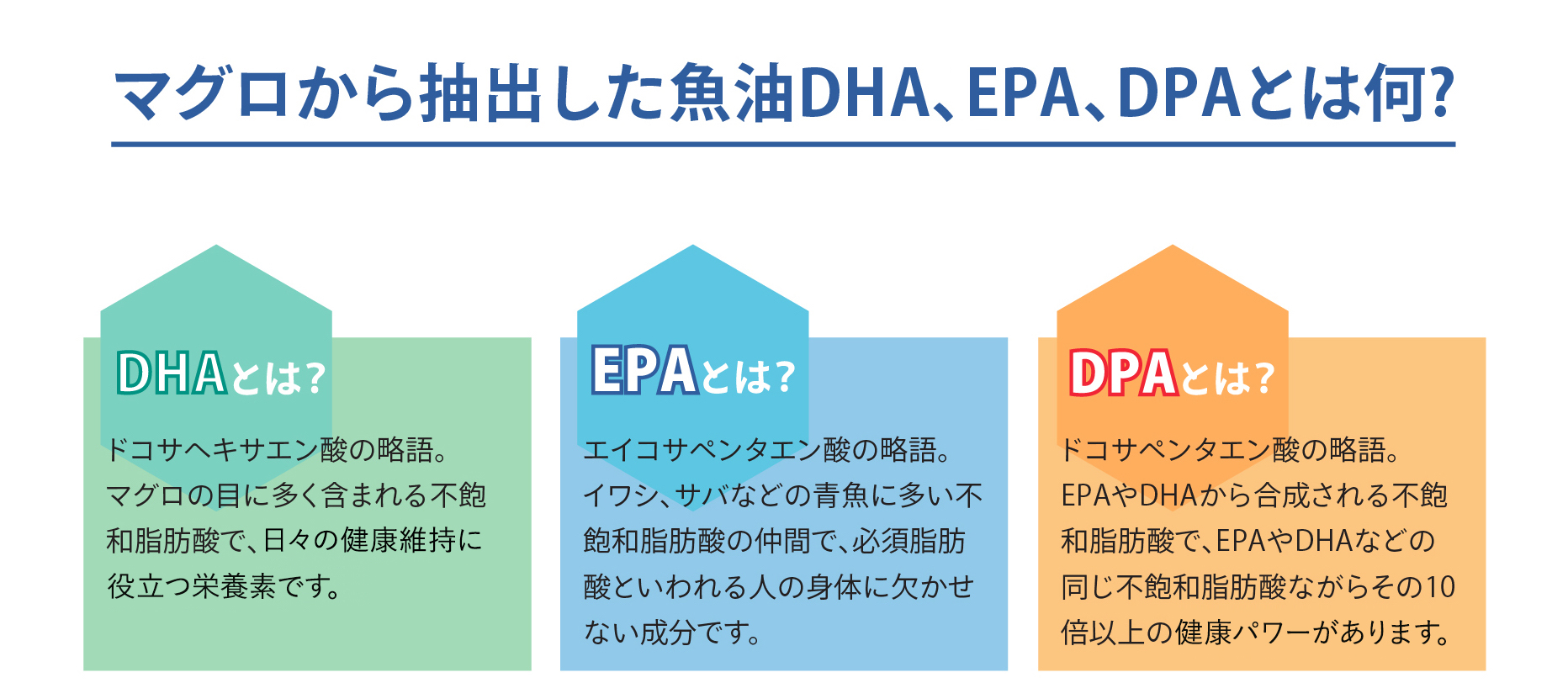 DHA・EPA・DPAの説明
