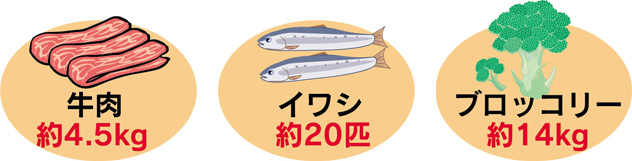 コエンザイムQ10を食事から摂取する場合の必要量