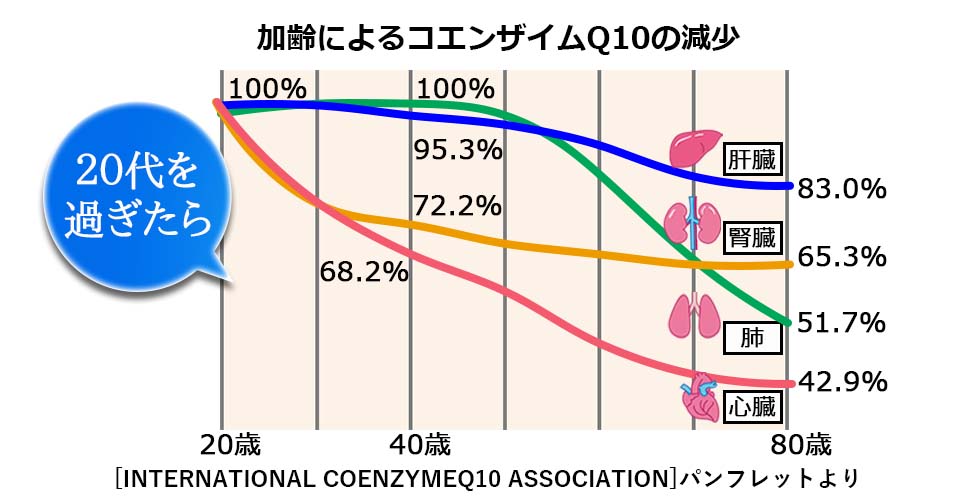 臓器からコエンザイムQ１０が低下していくグラフ