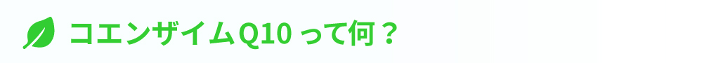 コエンザイムQ10って何
