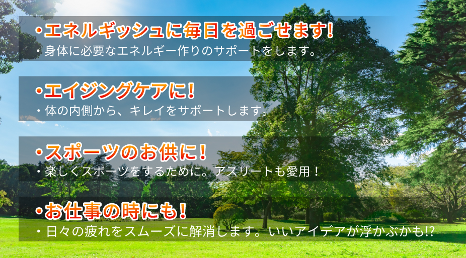 コエンザイムQ10