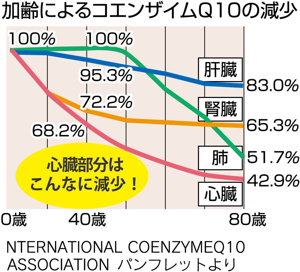 加齢によるコエンザイムQ10の減少