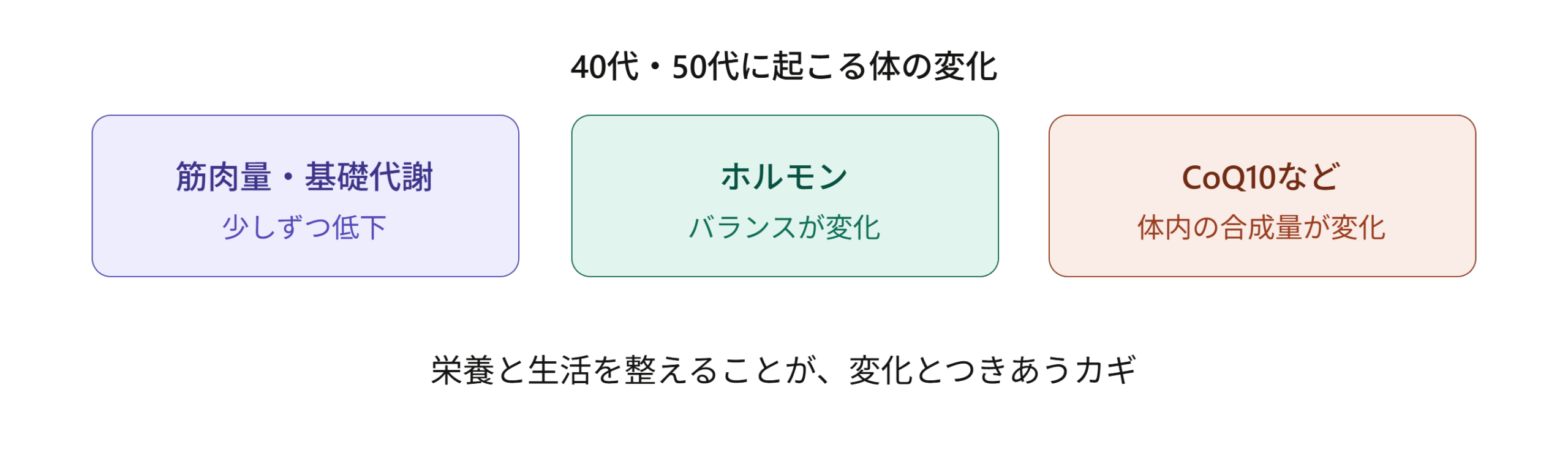 40代・50代に起こる体の変化（筋肉量・基礎代謝・ホルモン・体内成分の変化）を示す図