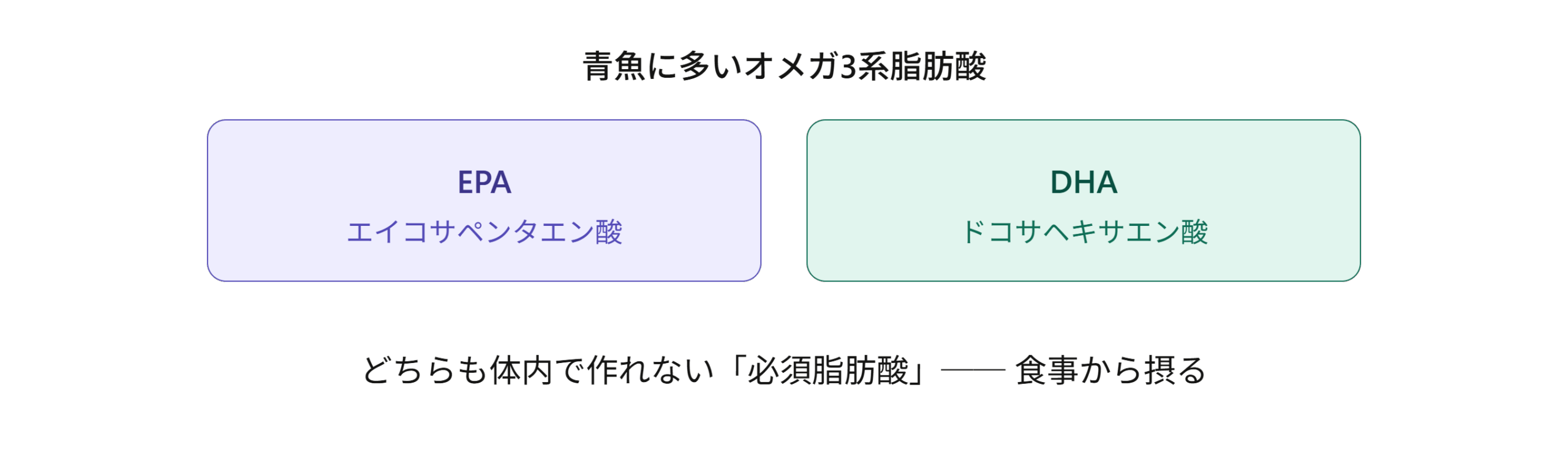EPAとDHAはどちらも青魚に含まれるオメガ3系脂肪酸で、体内で作れない必須脂肪酸であることを示す図