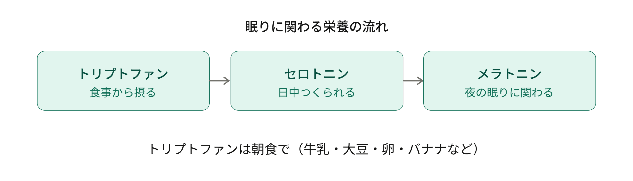 トリプトファンからセロトニン、メラトニンへと変化する眠りに関わる栄養の流れを示す図