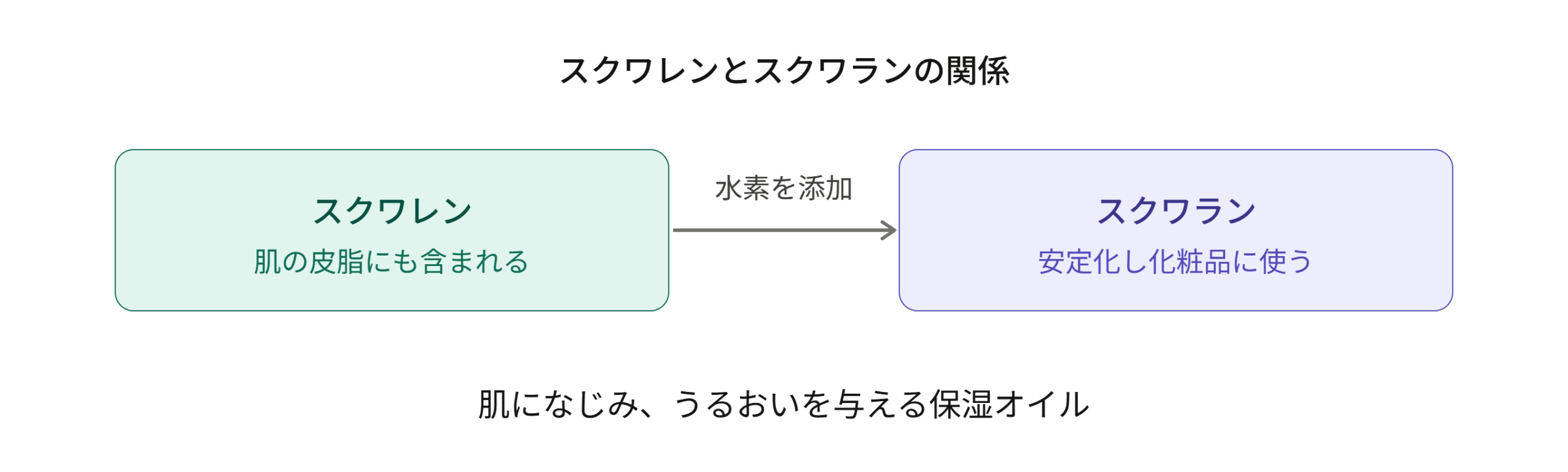 肌の皮脂に含まれるスクワレンに水素を添加し、安定したスクワランになることを示す図